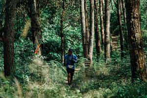 BIB: 
                            <button type="button" onclick="openModal(25236050)" class="btn btn-primary btn-sm float-right btn-popup" data-toggle="modal" data-target=".modal-high-quality">
                        <i class="fas fa-shopping-cart"></i> Add to Cart
                    </button>
                                            <button type="button" onclick="isThisMe(25236050, true)" class="btn btn-success btn-sm float-right btn-popup btn-isme hidden" data-toggle="tooltip" data-placement="bottom" title="นี่คือรูปของคุณใช่ไหม คลิกที่นี่เพื่อเอาเข้าอัลบั้ม">
                        <i class="fas fa-plus"></i> Add to album
                    </button>
                    <button type="button" onclick="isThisMe(25236050, false)" class="btn btn-warning btn-sm float-right btn-popup btn-isnotme hidden">
                        <i class="fas fa-ban"></i> Remove from album
                    </button>